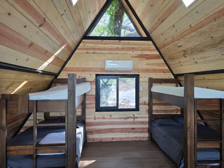 whatsapp image 2025 11 08 at 12.57.32 (6)